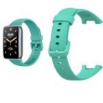 CORREA RECAMBIO MIBAND7PRO-VD