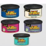AMBIENTADORES PARA COCHE CALIFORNIA SCENTS
