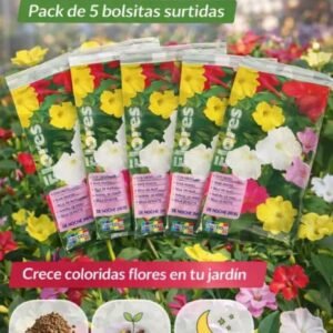 Semillas de belleza nocturna